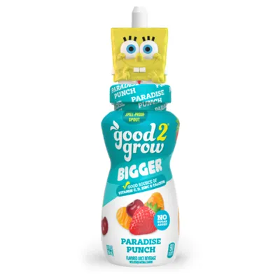 Good2Grow Paradise Punch 10 oz Bottle