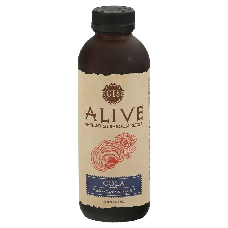 GT's Alive Mushroom Cola view 1