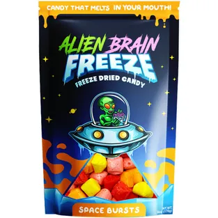 Alien Brain Space Bursts