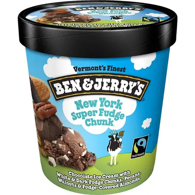 Ben & Jerry's NY Super Fudge Ice Cream 10oz Carton