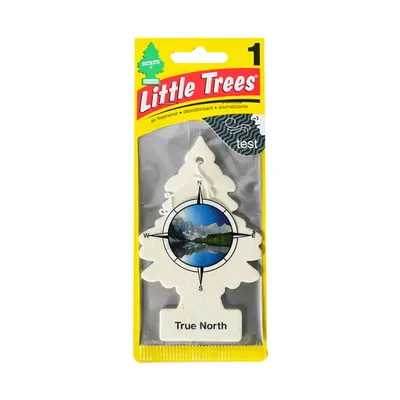 Little Trees True North Car Air Freshener