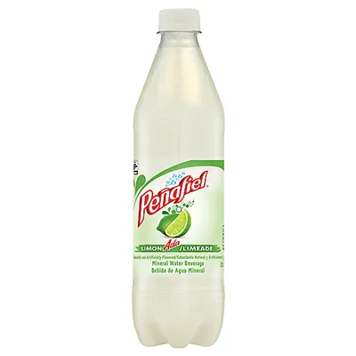 Penafiel Limeade 20.3 oz Bottle