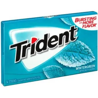 Trident Sugarfree Wintergreen Gum