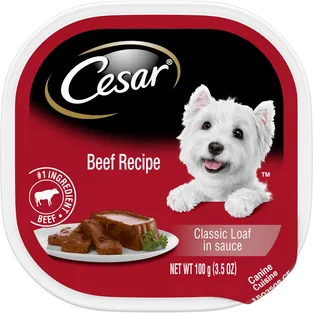 Cesar Beef Recipe Classic Loaf in Sauce Wet Dog Food