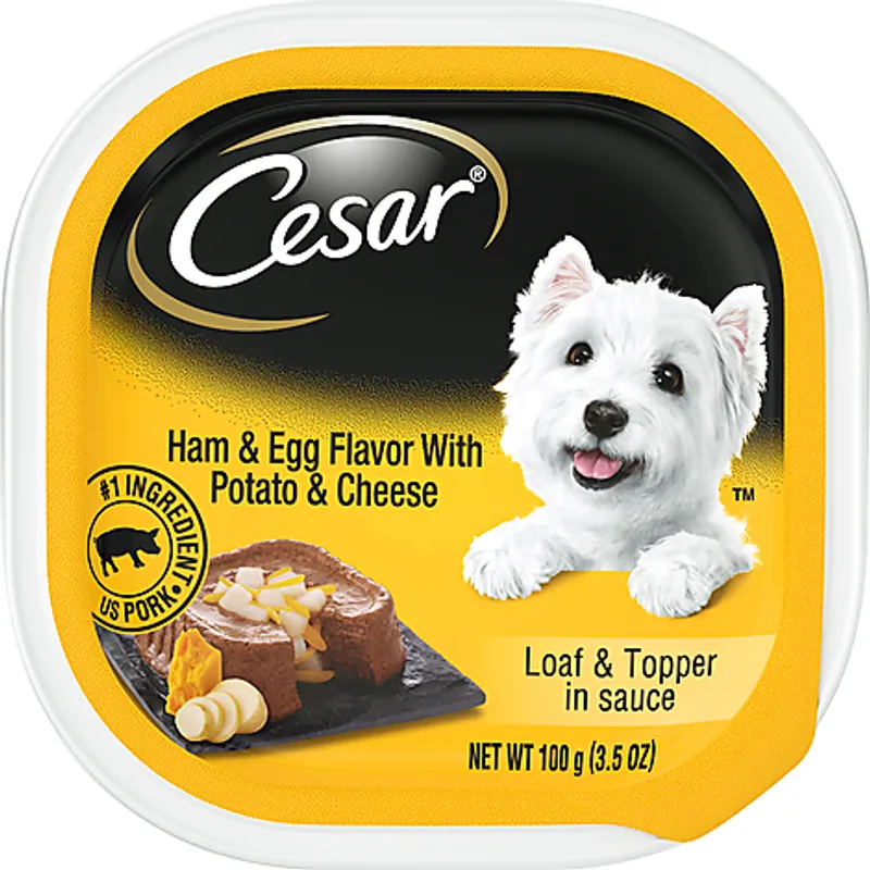 Cesar Wholesome Bowls Chicken Sweet Potatoes & Green Beans Wet Dog Food view 1