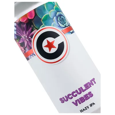 Chapman Crafted Succulent Vibes Hazy IPA 4-pack 64 oz cans