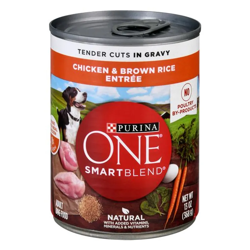 Purina ONE Chicken & Brown Rice Entrée view 1