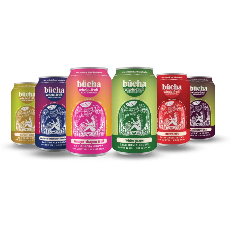 BUCHA Strawberry Hard Kombucha view 1