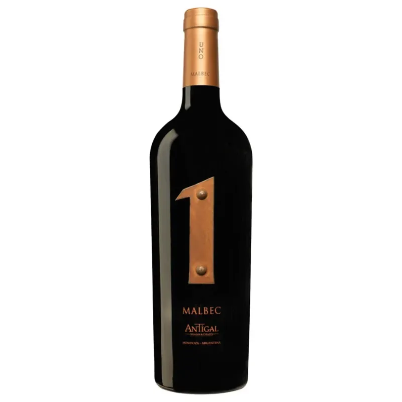 Antigal Uno Malbec view 1