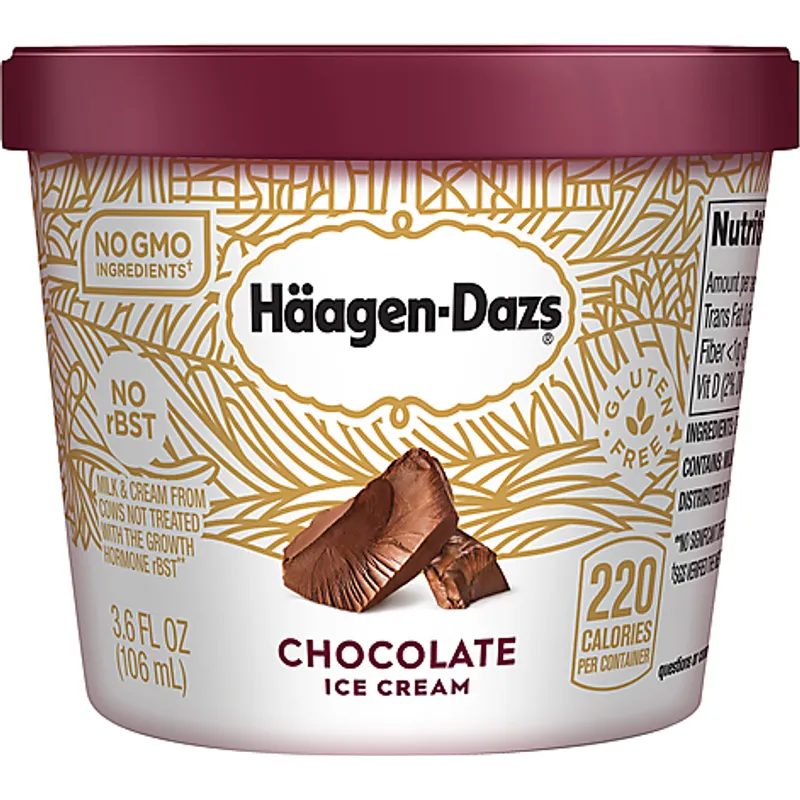 Haagen Dazs Chocolate Ice Cream view 1