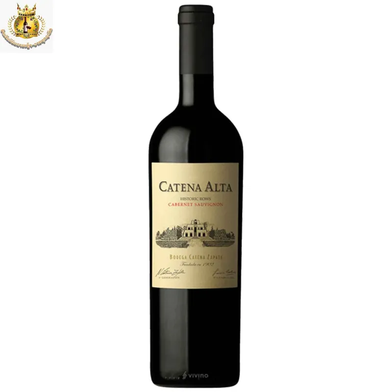Catena Alta Cabernet Sauvignon 2016 view 1