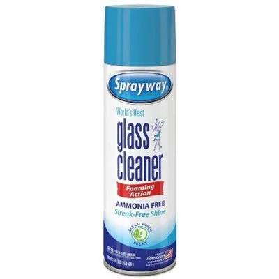 Sprayway Glass Cleaner 19 oz Can