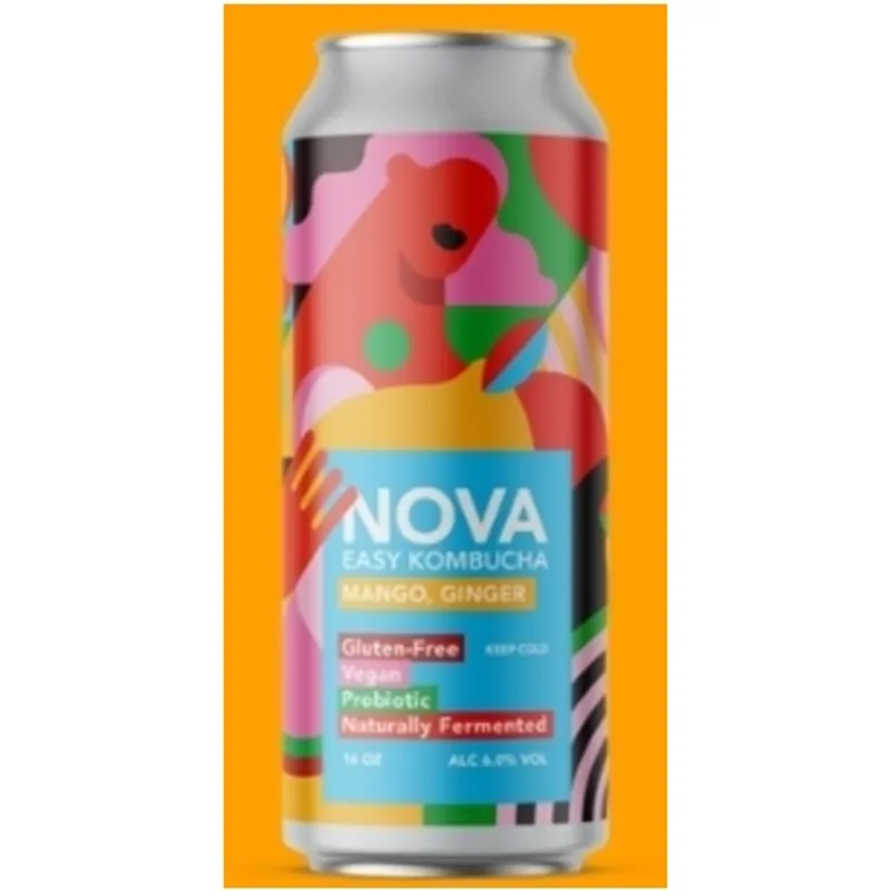 Nova Easy Kombucha Mango & Ginger view 1