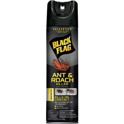 Black Flag Ant & Roach Killer 17.5 oz