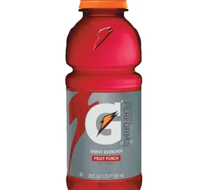 Gatorade G Thirst Quencher Fruit Punch 20 oz Bottle