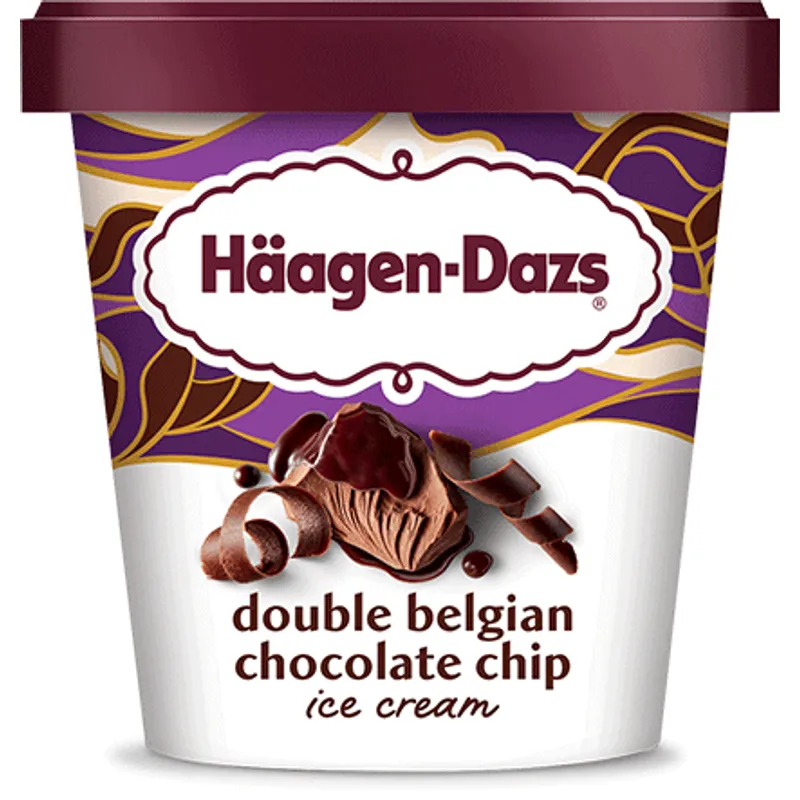 Haagen-Dazs Double Belgian Chocolate Chip Ice Cream view 1