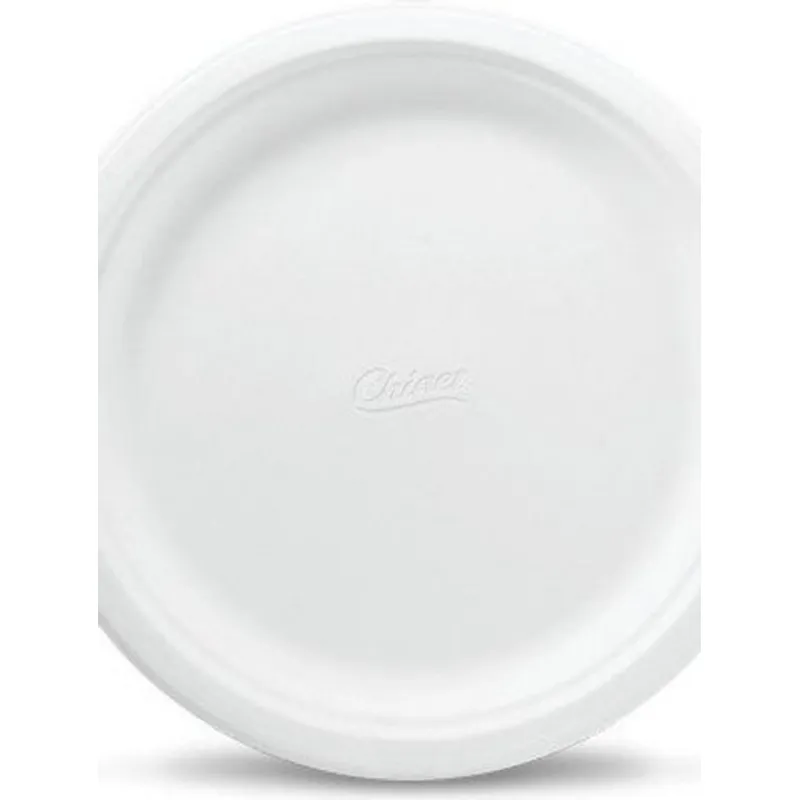 Chinet Large Dinner Paper Plates view 1