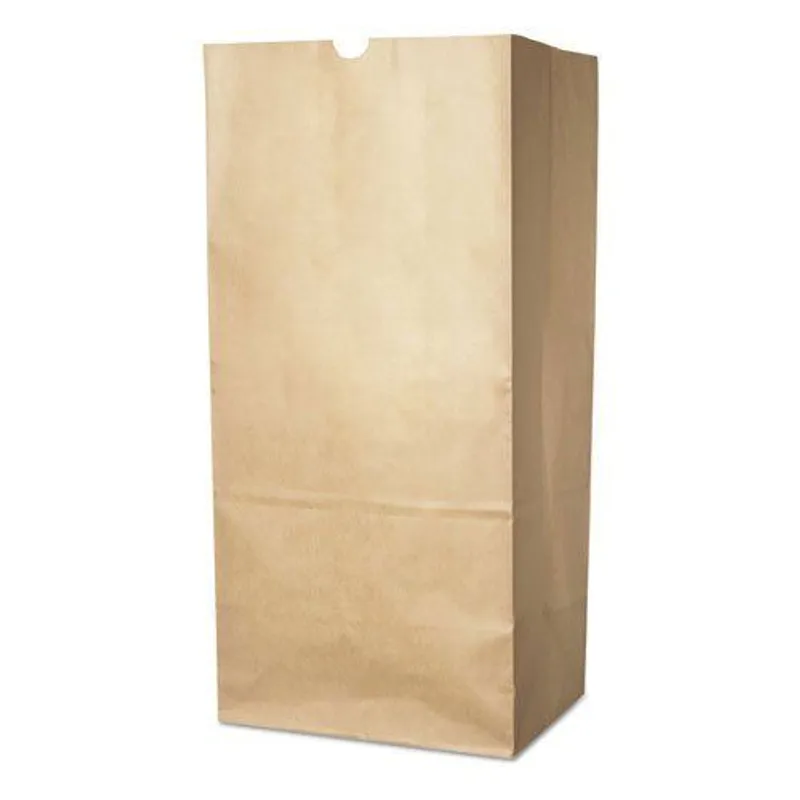 Brown Bag #2 Paper Bag view 1