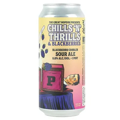 Paperback Brewing Chills N Thrills Sour Ale 16 oz can