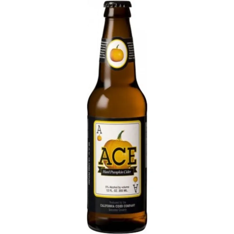 Ace Pumpkin Cider view 1