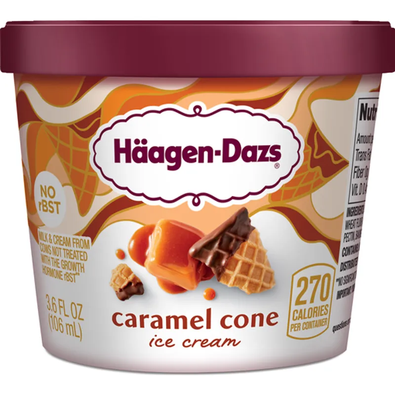 Haagen-Dazs Caramel Cone Ice Cream view 1