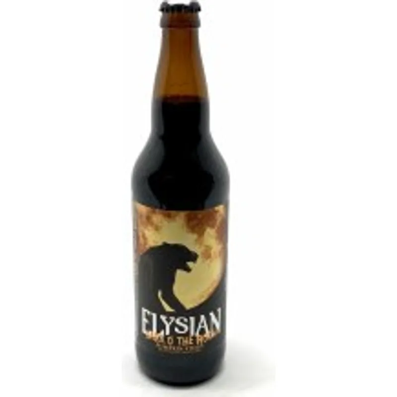 Elysian Dark O' The Moon Pumpkin Stout view 1