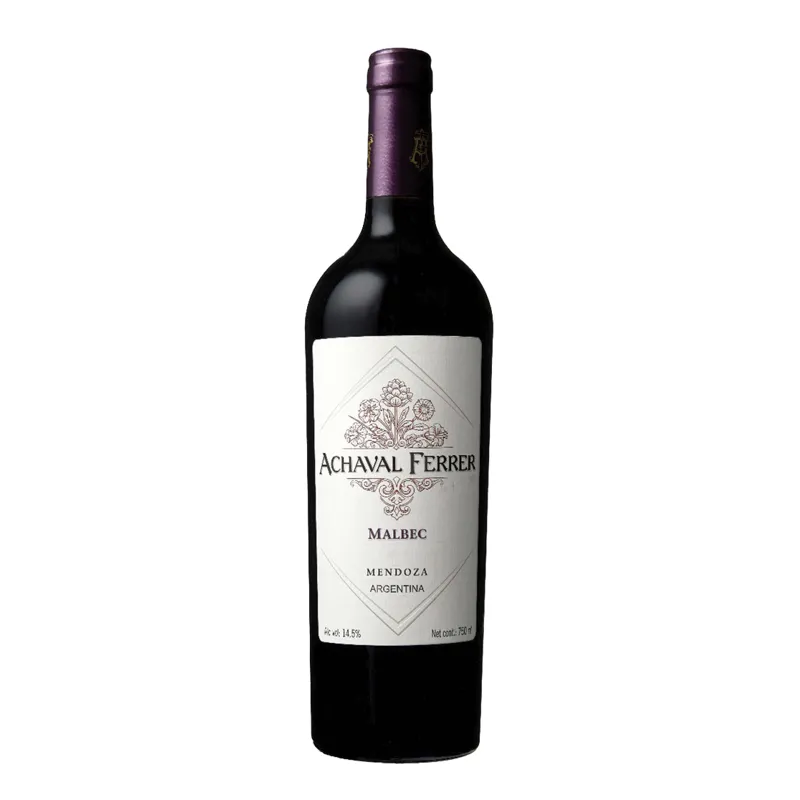 Achaval Ferrer Malbec 2020 view 1