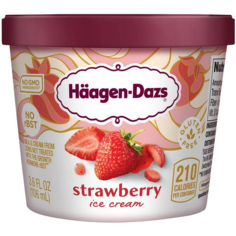 Häagen-Dazs Strawberry Ice Cream view 1