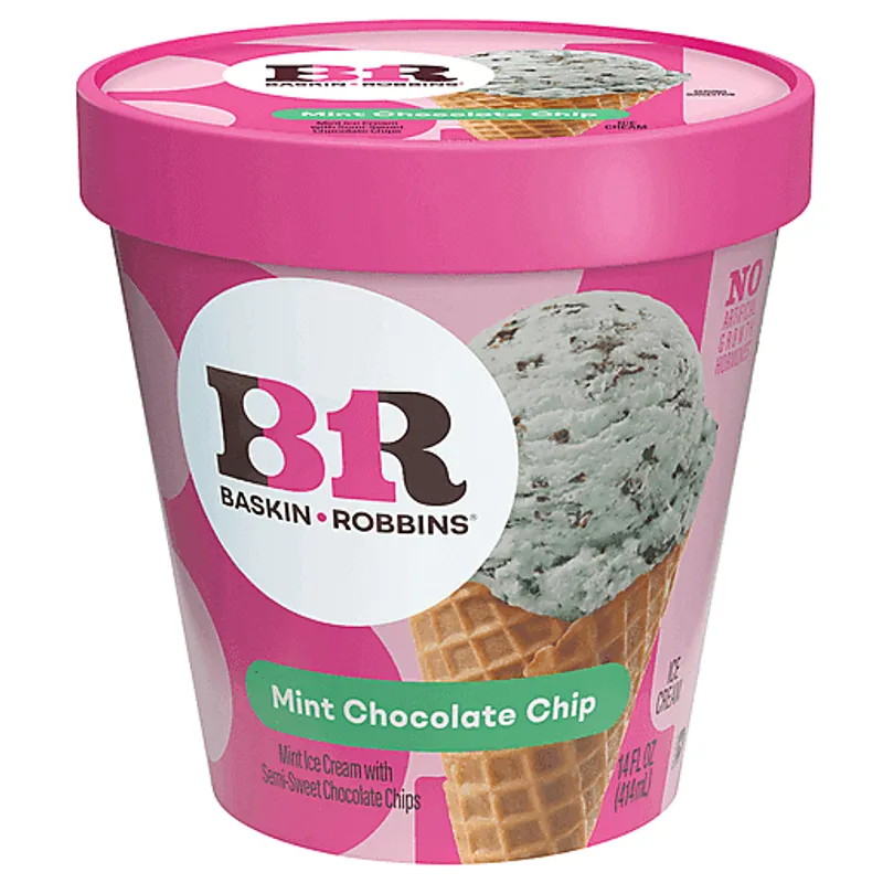 Baskin-Robbins Mint Chocolate Chip Ice Cream view 1