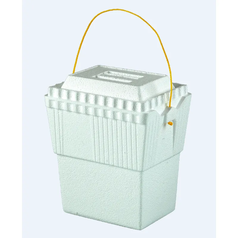 Lifoam Ice Chest view 1